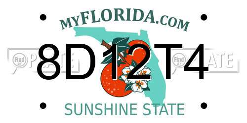 8D12T4 Florida License Plate