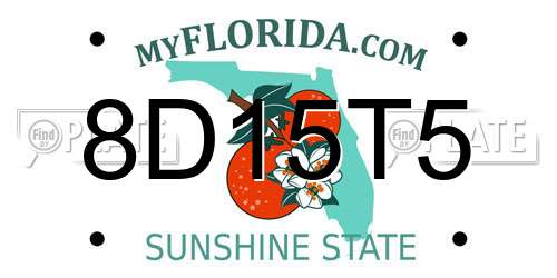 8D15T5 Florida License Plate