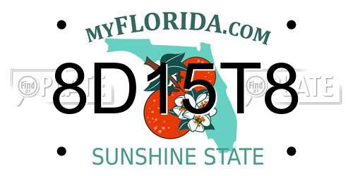 8D15T8 Florida License Plate