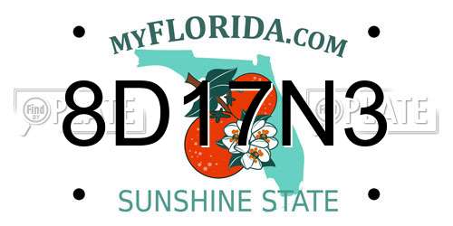 8D17N3 Florida License Plate