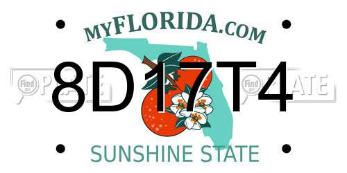 8D17T4 Florida License Plate