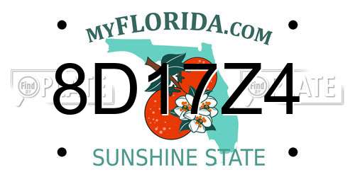 8D17Z4 Florida License Plate
