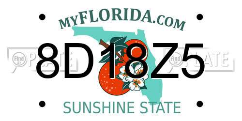 8D18Z5 Florida License Plate