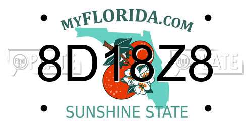 8D18Z8 Florida License Plate