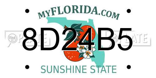 8D24B5 Florida License Plate