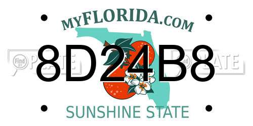 8D24B8 Florida License Plate