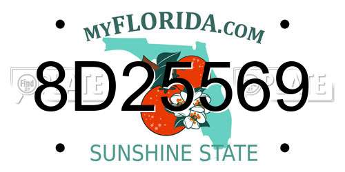 8D25569 Florida License Plate