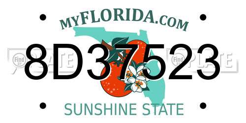 8D37523 Florida License Plate