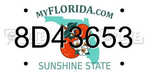 8D43653 Florida License Plate