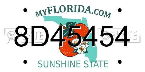 8D45454 Florida License Plate