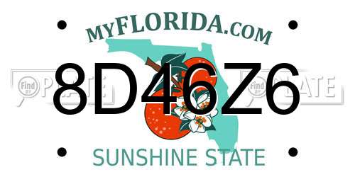 8D46Z6 Florida License Plate