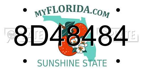 8D48484 Florida License Plate