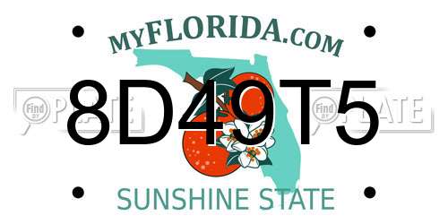 8D49T5 Florida License Plate