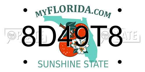 8D49T8 Florida License Plate