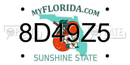8D49Z5 Florida License Plate