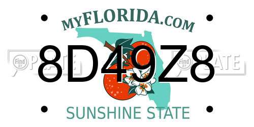8D49Z8 Florida License Plate