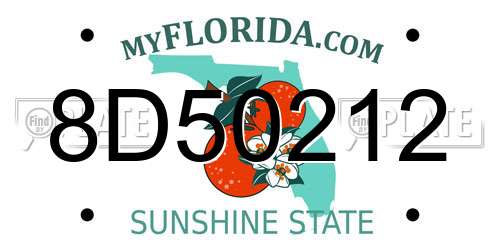 8D50212 Florida License Plate