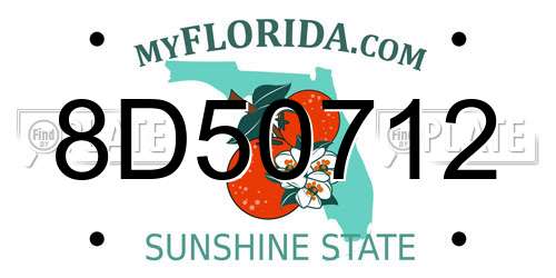 8D50712 Florida License Plate