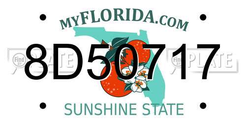 8D50717 Florida License Plate