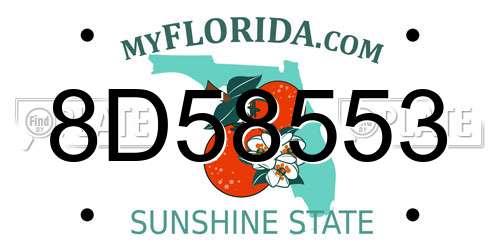 8D58553 Florida License Plate