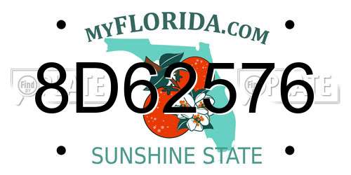 8D62576 Florida License Plate