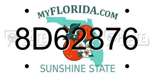 8D62876 Florida License Plate