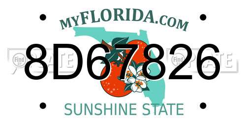 8D67826 Florida License Plate