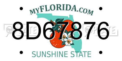 8D67876 Florida License Plate