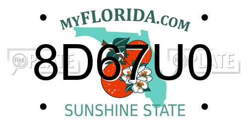 8D67U0 Florida License Plate