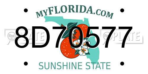 8D70577 Florida License Plate