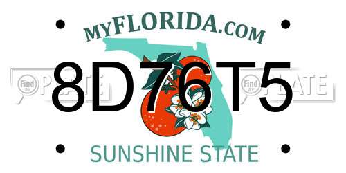 8D76T5 Florida License Plate
