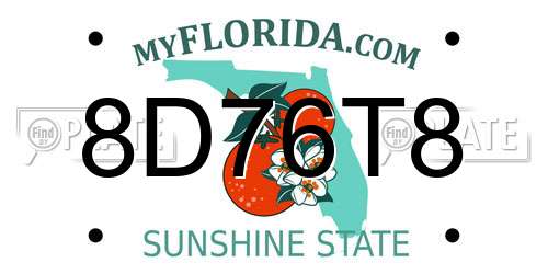 8D76T8 Florida License Plate