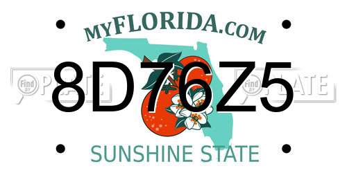 8D76Z5 Florida License Plate