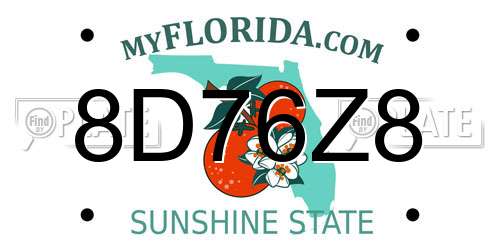8D76Z8 Florida License Plate