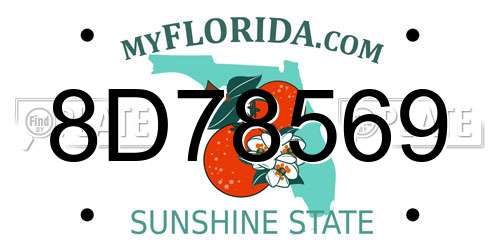 8D78569 Florida License Plate