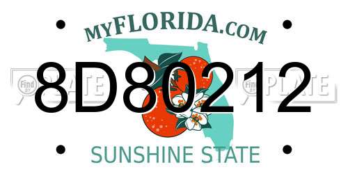 8D80212 Florida License Plate