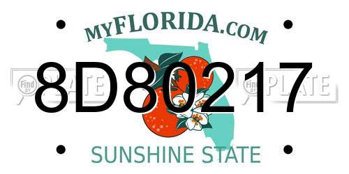 8D80217 Florida License Plate