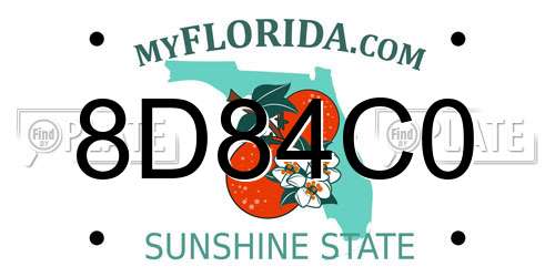 8D84C0 Florida License Plate