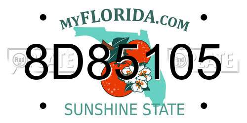 8D85105 Florida License Plate