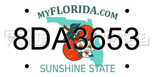 8DA3653 Florida License Plate