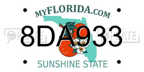 8DA933 Florida License Plate