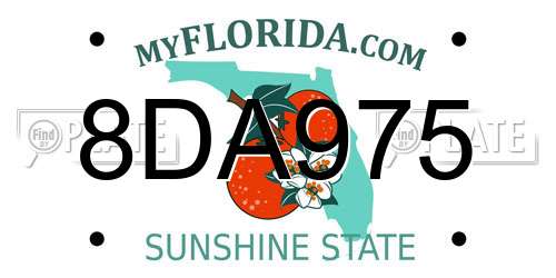 8DA975 Florida License Plate