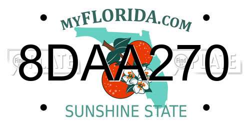 8DAA270 Florida License Plate