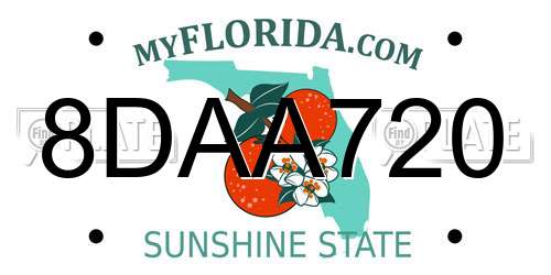 8DAA720 Florida License Plate
