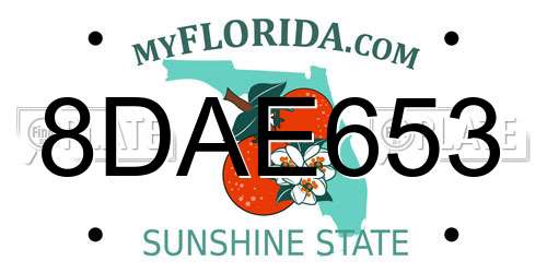 8DAE653 Florida License Plate