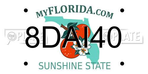 8DAI40 Florida License Plate