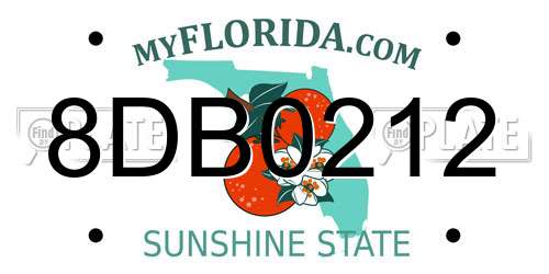 8DB0212 Florida License Plate