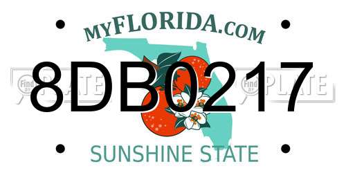 8DB0217 Florida License Plate