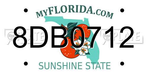 8DB0712 Florida License Plate