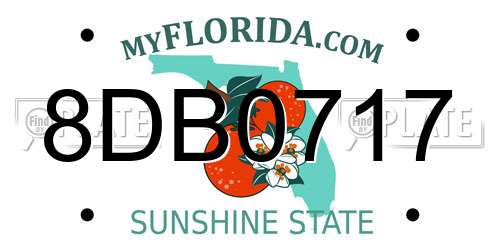 8DB0717 Florida License Plate